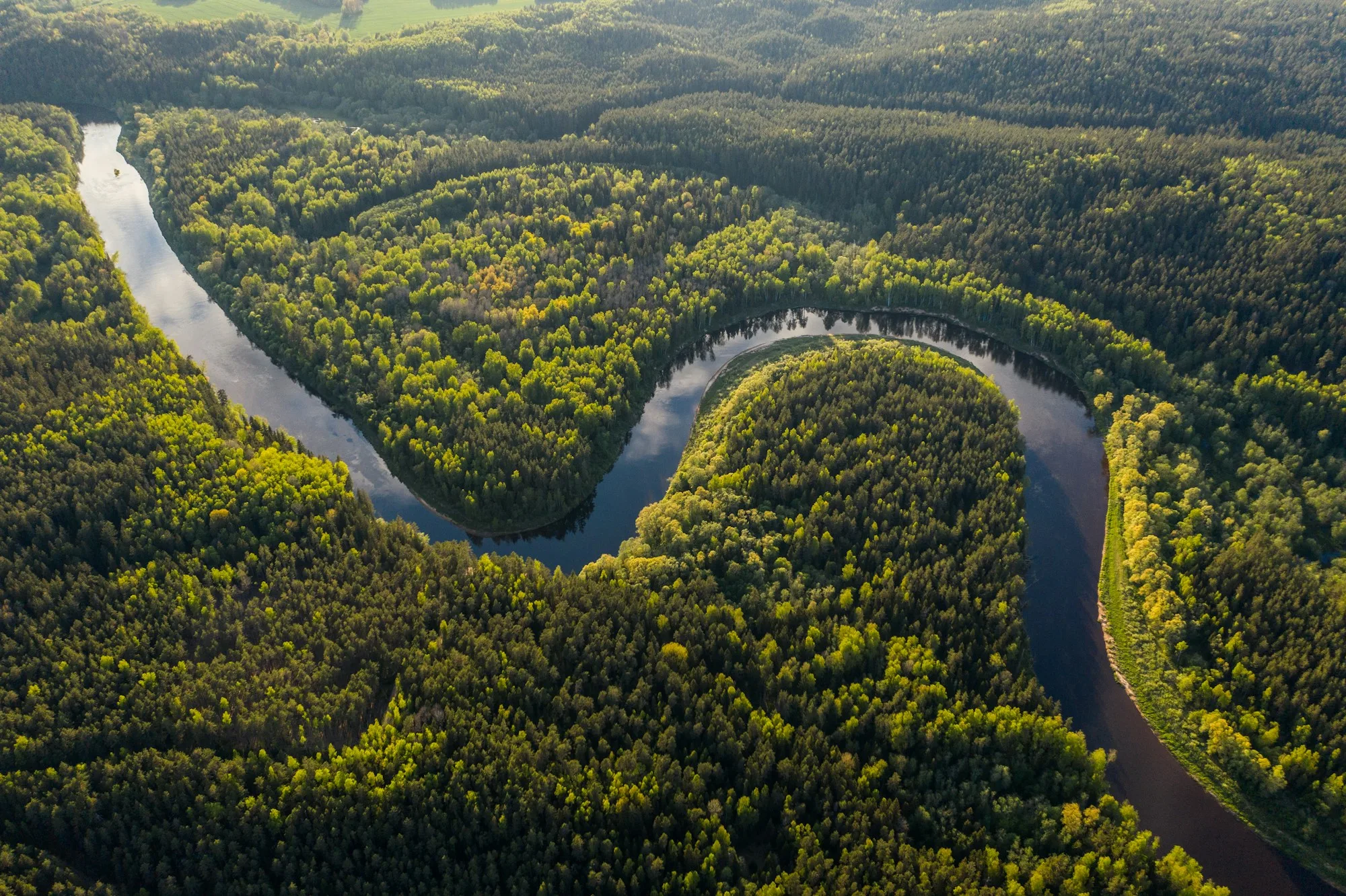 Aerial view of the Meramec River winding through lush green deciduous forest in summer
